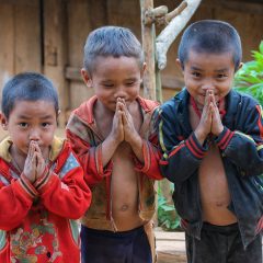 Bouwsteen Laos: Puur Noord-Laos_vanVerre