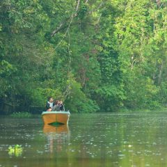 Discover Sabah's jungle en West-Maleisië_333Travel