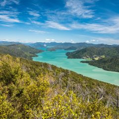 Rondreis Nieuw-Zeeland per auto: Uitgebreid Zuidereiland_vanVerre