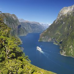 Bouwsteen Nieuw-Zeeland: Milford Sound Overnight Cruise_vanVerre