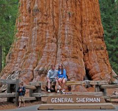 Van Death Valley naar reuzenbomen in Sequoia