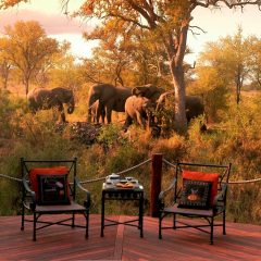 Rondreis Zuid-Afrika per auto: Country House en Safari Lodge_vanVerre