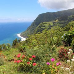 Groepsreis Azoren Eilandhoppen; Een natuurbelevenis op São Miguel en Terceira