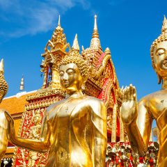 Familiereis THAILAND AVONTUUR - 22 dagen; Het 'Land van de Glimlach'_koningaap
