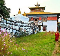 Tibetaanse tempel tour