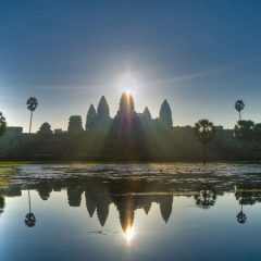 Rondreis VIETNAM & CAMBODJA - 21 dagen; Over Mekong naar Angkor_koningaap