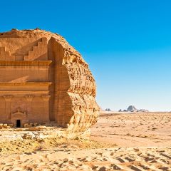 Rondreis SAOEDI-ARABIË - 15 dagen; Geheimen van de woestijn_koningaap