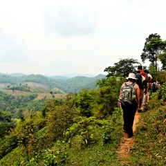 Chiang Mai Jungle Trekking_333Travel
